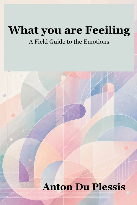 Libro What you are Feeling Anton Du Plessis