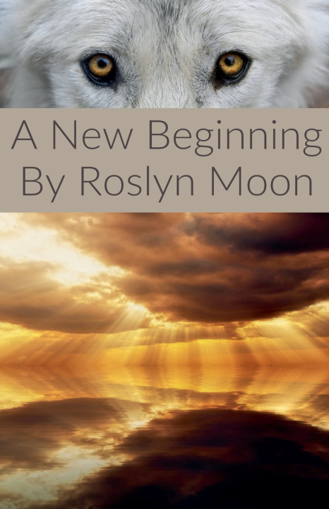 Kniha A New Beginning Roslyn Moon