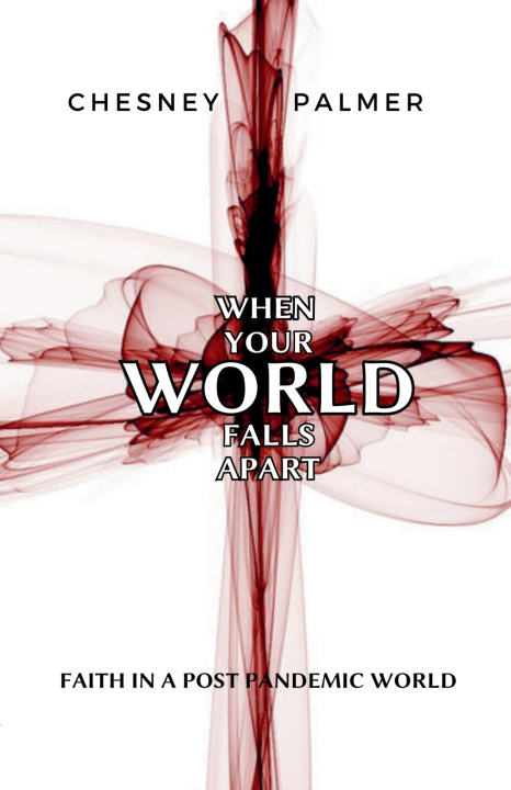 Kniha When Your World Falls Apart Chesney Palmer