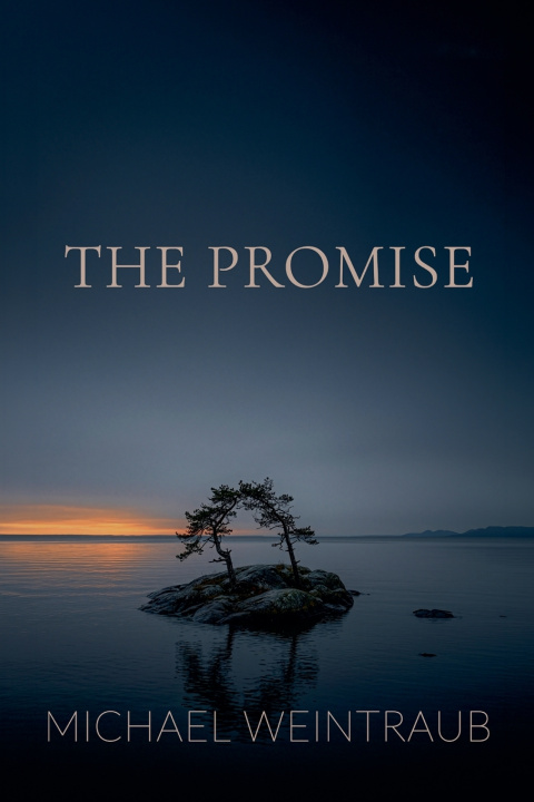 Knjiga The Promise Michael Weintraub