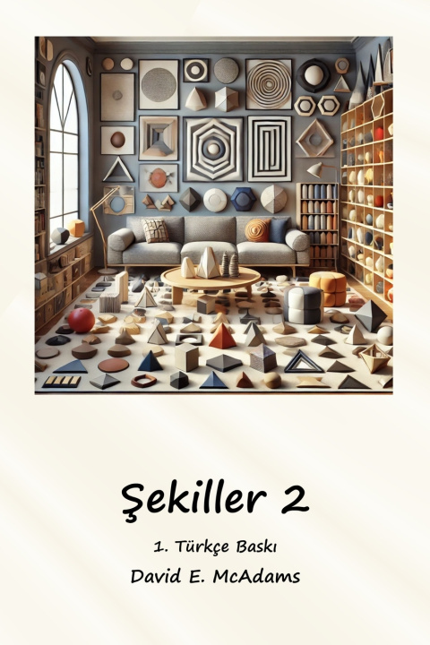 Libro Şekiller 2 David E. McAdams