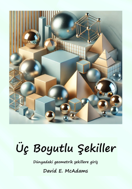 Kniha Üç Boyutlu Şekiller David E. McAdams