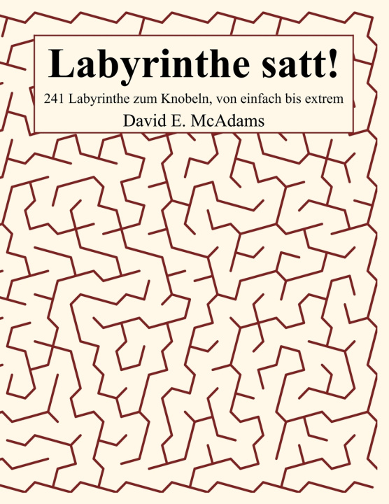 Libro Labyrinthe satt! David E. McAdams