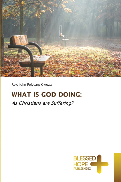 Βιβλίο WHAT IS GOD DOING Rev. John Polycarp Gwoza