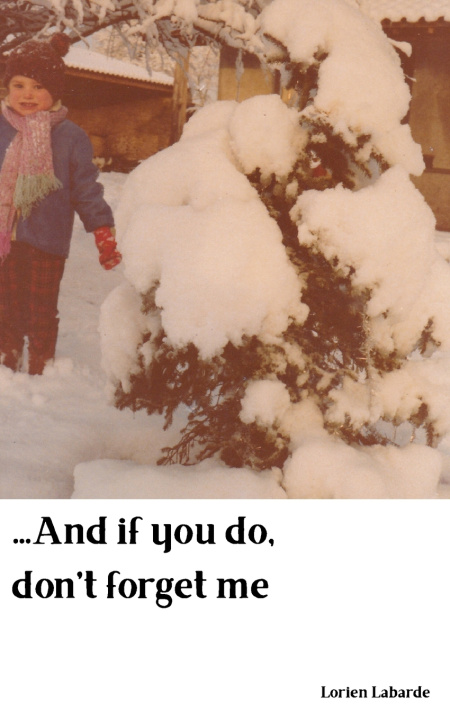 Buch ...And if you do, don't forget me Lorien Labarde