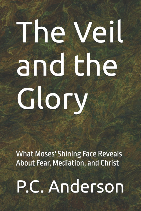 Buch The Veil and the Glory P.C. Anderson