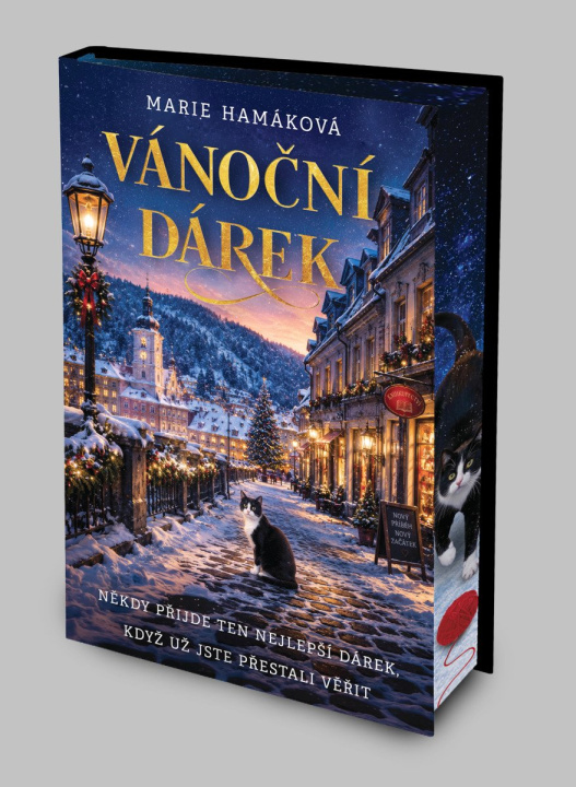 Livre Vánoční dárek Marie Hamáková