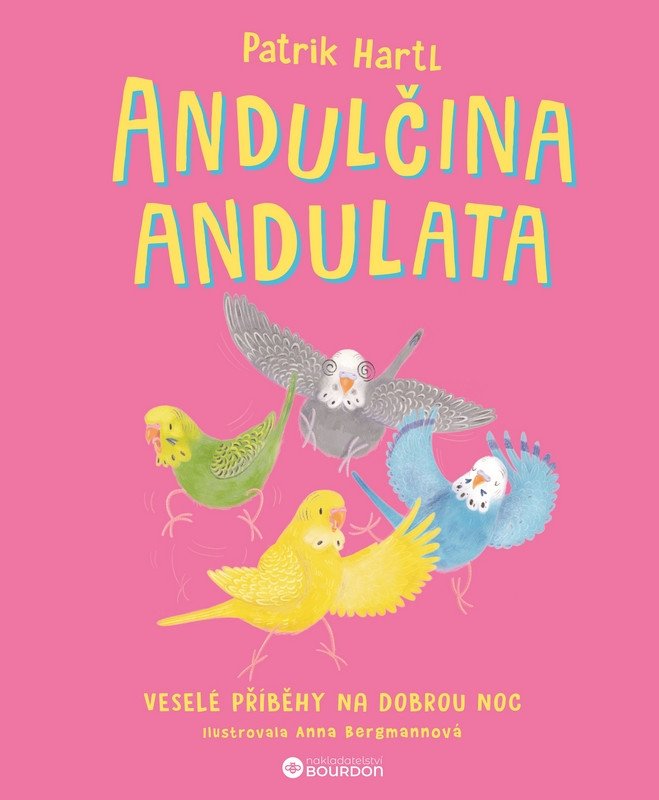 Buch Andulčina andulata - Veselé příběhy na dobrou noc Patrik Hartl