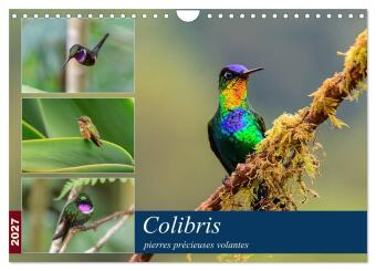 Kalender/agenda COLIBRIS PIERRES PRECIEUSES VOLANTES CAL WOHLKE JURGEN