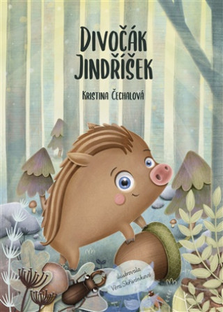Книга Divočák Jindříšek 