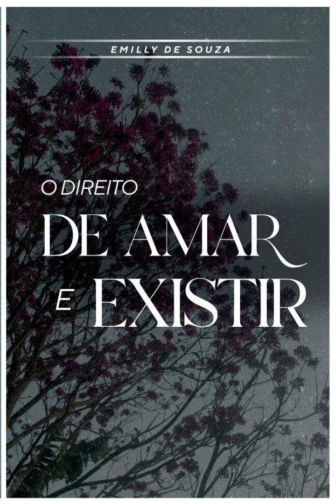 Libro O Direito de Amar e Existir Emilly De Souza