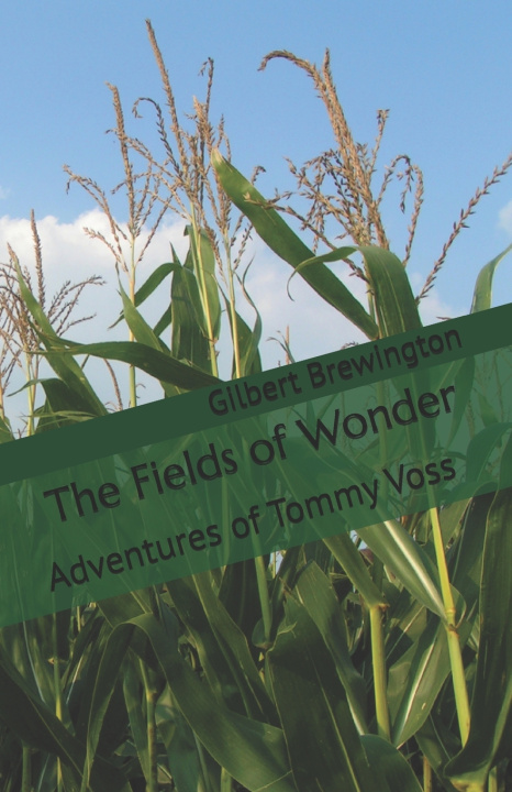 Książka The Fields of Wonder Gilbert Brewington