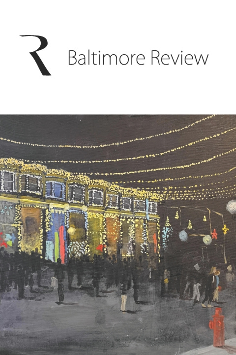 Knjiga The Baltimore Review 2026 The Baltimore Review
