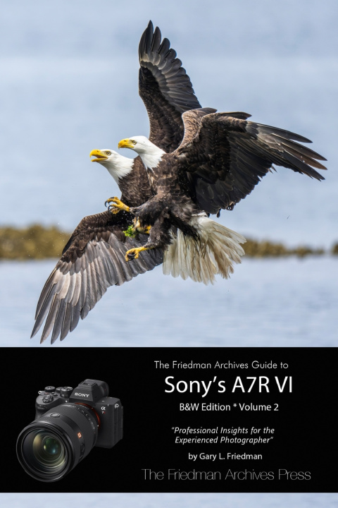 Könyv The Friedman Archives Guide to Sony's A7R VI (B&W Edition) Volume 2 Gary L Friedman
