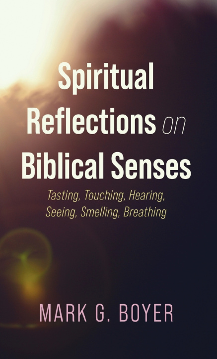 Kniha Spiritual Reflections on Biblical Senses Mark G. Boyer