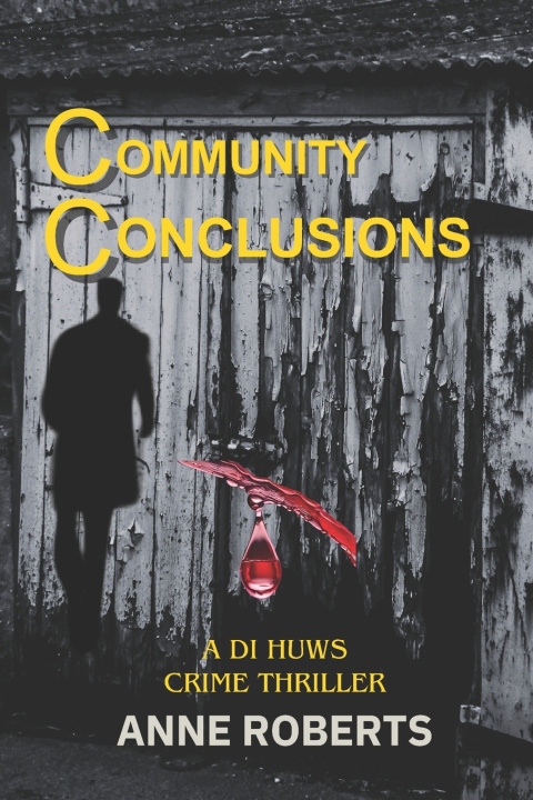 Libro Community Conclusions Anne Roberts