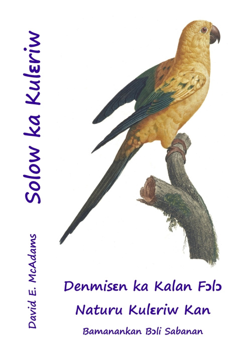 Knjiga Solow ka Kulɛriw David E. McAdams