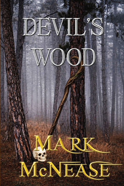 Książka Devil's Wood Mark McNease