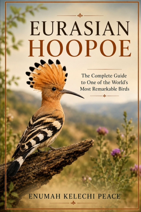 Libro EURASIAN HOOPOE ENUMAH KELECHI PEACE