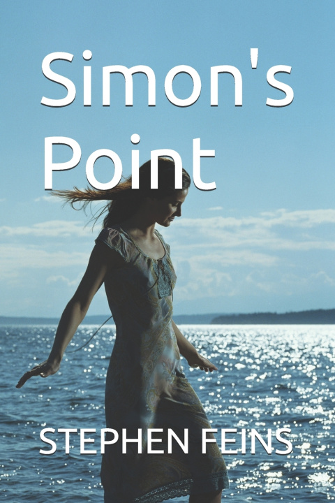 Knjiga Simon's Point STEPHEN FEINS