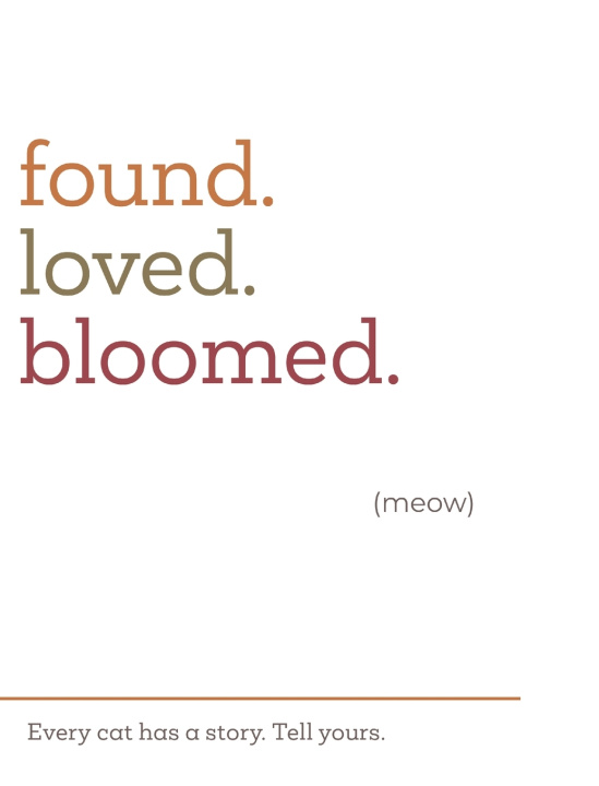 Boek found.loved.bloomed. (meow) Susan McConnell