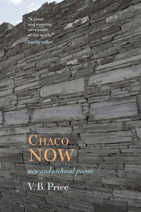 Kniha Chaco Now V. B. Price