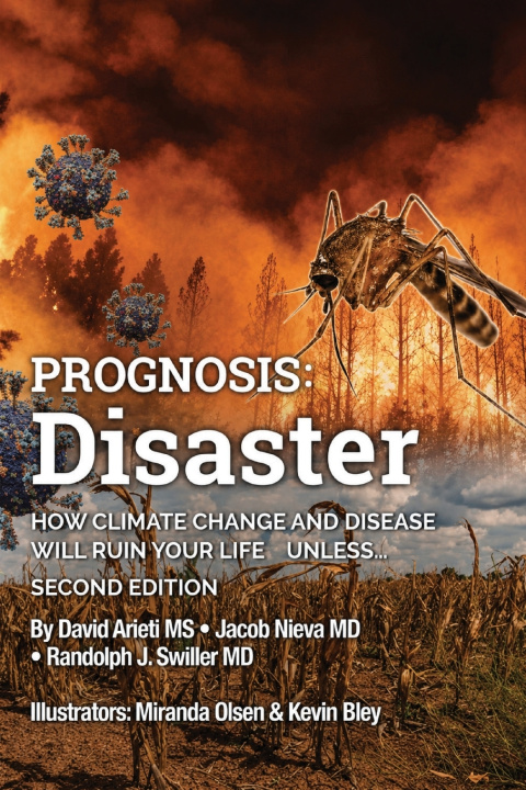 Knjiga Prognosis Disaster David Arieti