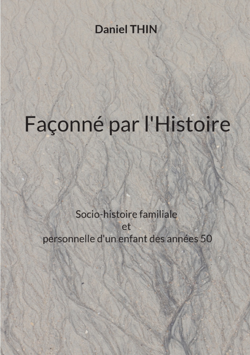 Knjiga FACONNE PAR HISTOIRE THIN DANIEL