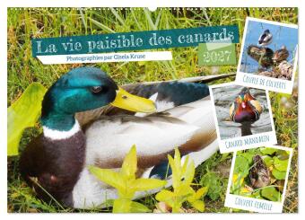 Kalendar/Rokovnik VIE PAISIBLE CANARDS CALENDRIER MURAL 20 KRUSE GISELA