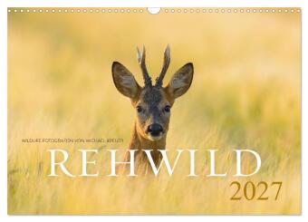 Kalendář/Diář Rehwild 2027 (Wandkalender 2027 DIN A3 quer), CALVENDO Monatskalender Calvendo
