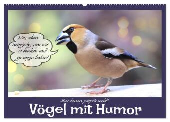Kalendář/Diář Vögel mit Humor (Wandkalender 2027 DIN A2 quer), CALVENDO Monatskalender Calvendo