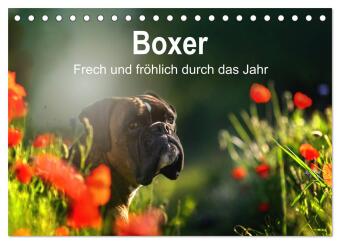 Kalendář/Diář Boxer Frech und fröhlich durch das Jahr (Tischkalender 2027 DIN A5 quer), CALVENDO Monatskalender Calvendo