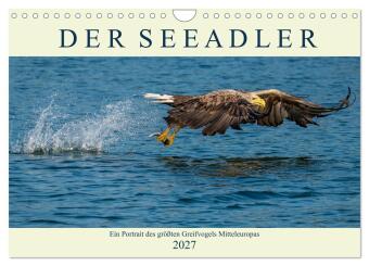 Kalendář/Diář DER SEEADLER Ein Portrait des größten Greifvogels Mitteleuropas (Wandkalender 2027 DIN A4 quer), CALVENDO Monatskalender Calvendo