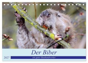 Kalendář/Diář Der Biber, ein guter Bauhandwerker (Tischkalender 2027 DIN A5 quer), CALVENDO Monatskalender Calvendo