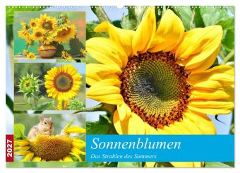 Kalendář/Diář Sonnenblumen. Das Strahlen des Sommers (Wandkalender 2027 DIN A2 quer), CALVENDO Monatskalender Calvendo