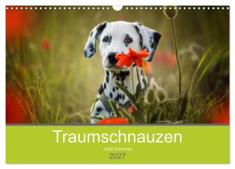 Kalendář/Diář Traumschnauzen (Wandkalender 2027 DIN A3 quer), CALVENDO Monatskalender Calvendo