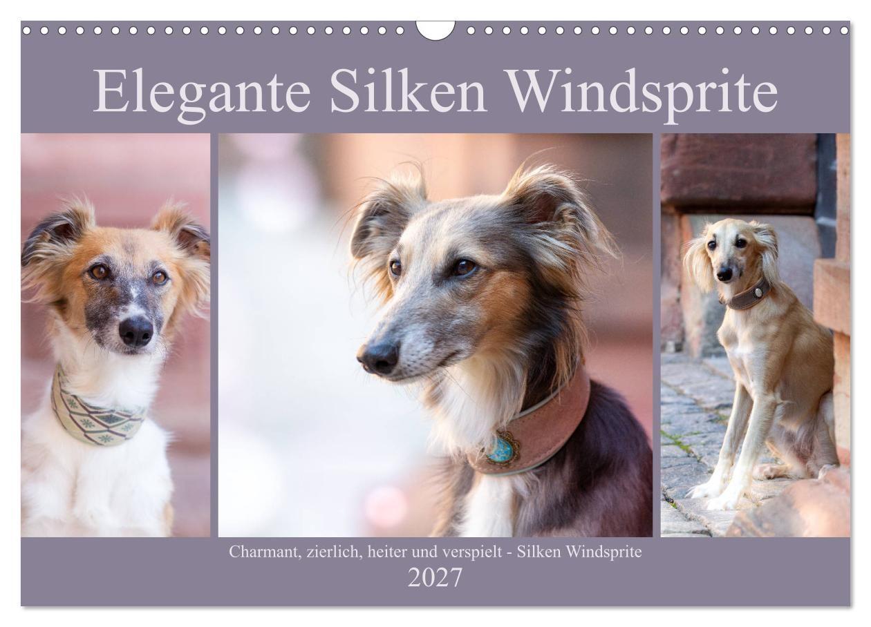 Kalendář/Diář Elegante Silken Windsprite (Wandkalender 2027 DIN A3 quer), CALVENDO Monatskalender Calvendo