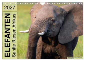 Kalendář/Diář Elefanten - Sanfte Riesen Afrikas (Wandkalender 2027 DIN A4 quer), CALVENDO Monatskalender Calvendo