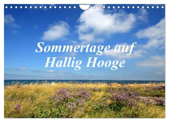 Kalendář/Diář Sommertage auf Hallig Hooge (Wandkalender 2027 DIN A4 quer), CALVENDO Monatskalender Calvendo