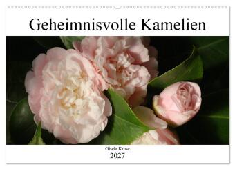 Kalendář/Diář Geheimnisvolle Kamelien (Wandkalender 2027 DIN A2 quer), CALVENDO Monatskalender Calvendo
