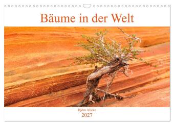 Kalendář/Diář Bäume in der Welt (Wandkalender 2027 DIN A3 quer), CALVENDO Monatskalender Calvendo