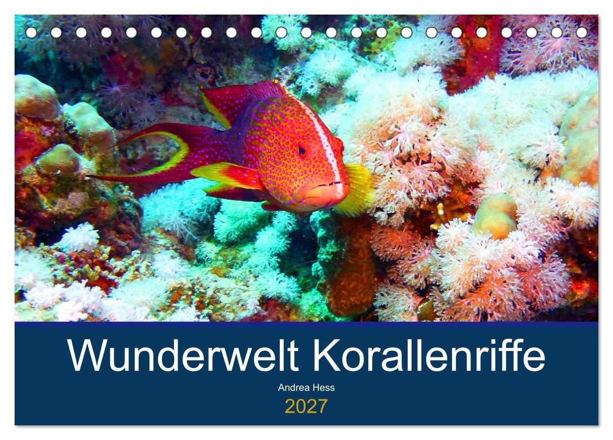 Kalendář/Diář Wunderwelt Korallenriffe (Tischkalender 2027 DIN A5 quer), CALVENDO Monatskalender Calvendo