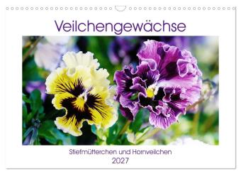 Kalendář/Diář Veilchengewächse - Stiefmütterchen und Hornveilchen (Wandkalender 2027 DIN A3 quer), CALVENDO Monatskalender Calvendo