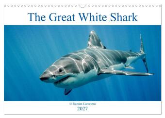 Kalendář/Diář The Great White Shark: King of the Ocean (Wall Calendar 2027 DIN A3 landscape), CALVENDO 12 Month Wall Calendar Calvendo