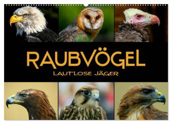 Kalendář/Diář Raubvögel - lautlose Jäger (Wandkalender 2027 DIN A2 quer), CALVENDO Monatskalender Calvendo