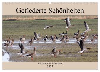 Kalendář/Diář Gefiederte Schönheiten - Wildgänse in Norddeutschland (Wandkalender 2027 DIN A2 quer), CALVENDO Monatskalender Calvendo
