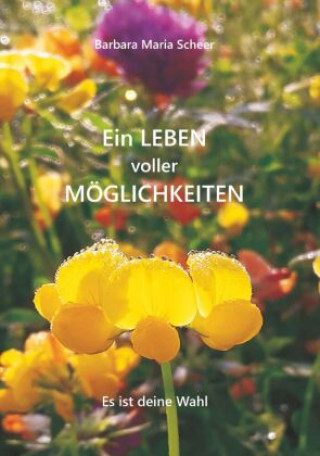 Knjiga Ein LEBEN voller MÖGLICHKEITEN Barbara Maria Scheer