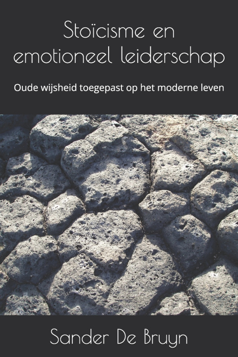 Kniha Stoïcisme en emotioneel leiderschap sander de bruyn