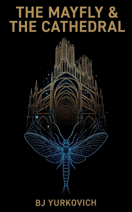 Knjiga The Mayfly and The Cathedral BJ Yurkovich