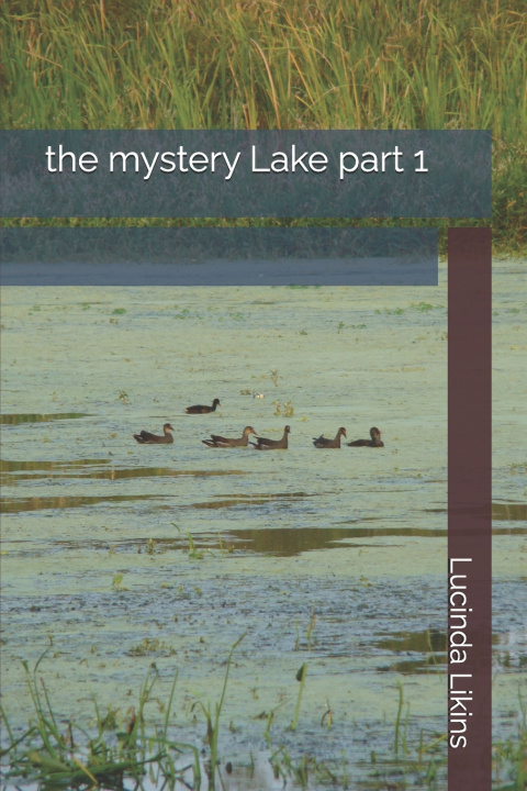 Kniha the mystery Lake part 1 Lucinda Likins
